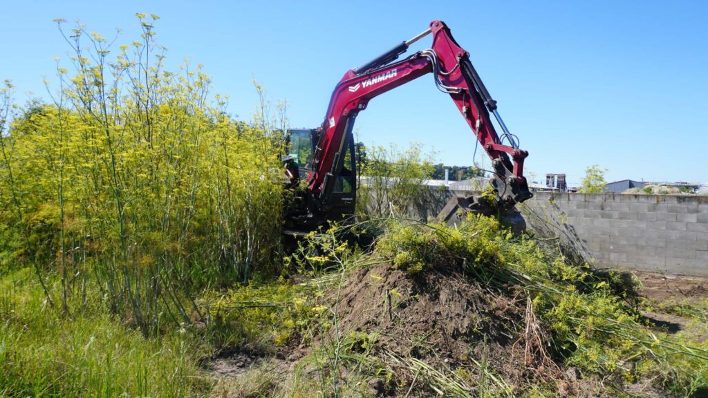 land clearing Hawkes Bay