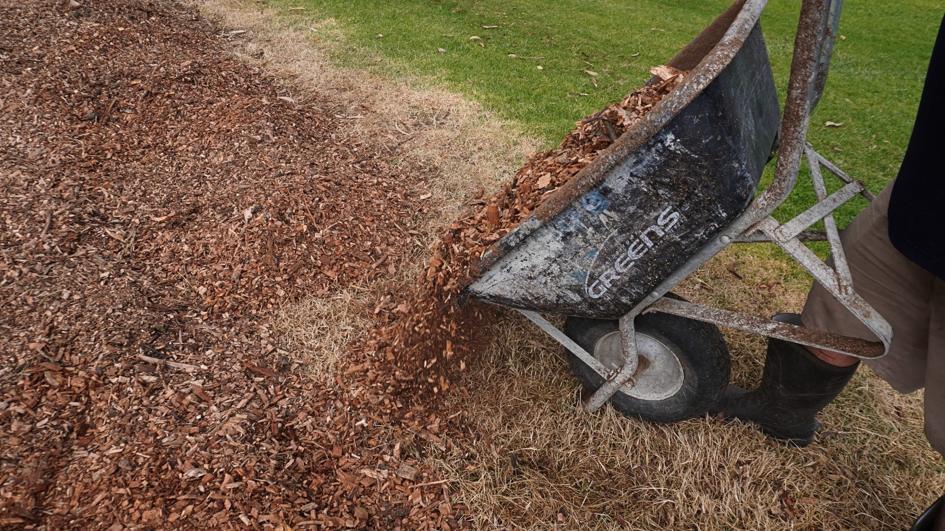 wheel barrow with wood chips