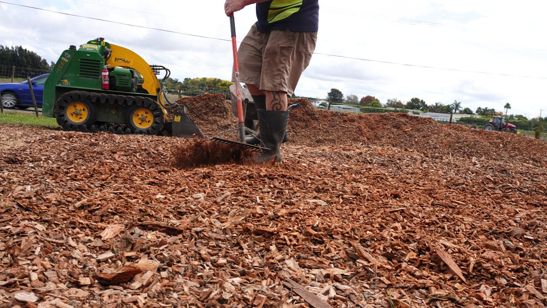 wood chips on septic